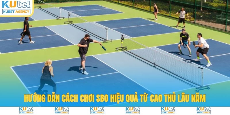 Cách cược SBO thể thao hiệu quả từ chuyên gia