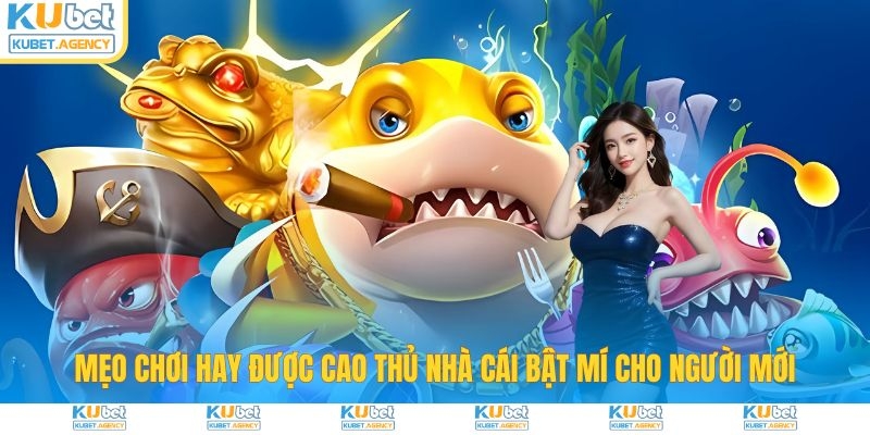 Mẹo chơi bắn cá cùng cao thủ Kubet