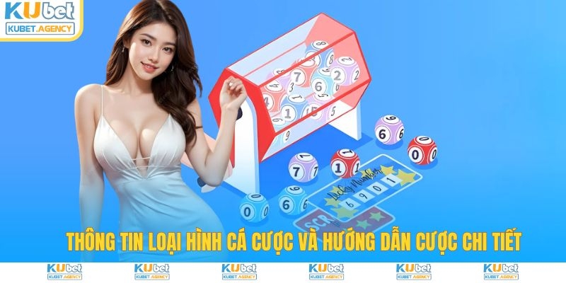 Khám phá cách chọn số của xổ số Vietlott